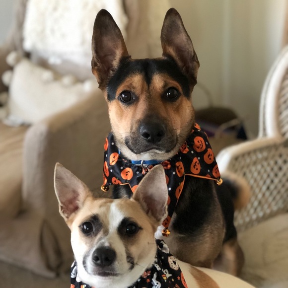 NFS Meet the posher! - Picture 3 of 6